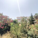Playa Flamenca la Mirada apartments
